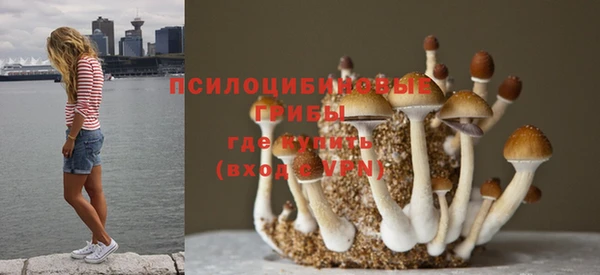 крисы Лихославль